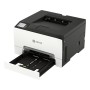 Xerox C300 A colori 2400 x 600 DPI A4 Wi-Fi (100S14982)