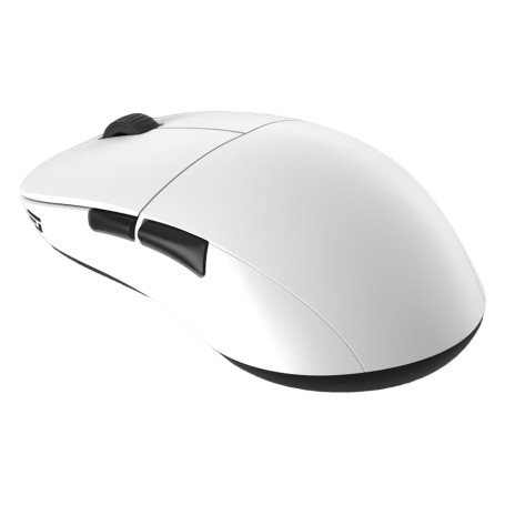 Endgame Gear XM2we mouse Gaming Mano destra RF Wireless + USB Type-C Ottico 19000 DPI (EGG-XM2WE-WHT)