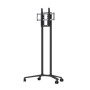 NEC PD04 190,5 cm (75") Grigio (100015738)