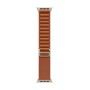 Apple Alpine Loop terracotta (49 mm) - Large - Titanio naturale (MFTD4ZM/A)