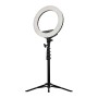Streamplify Light 14 anello di illuminazione LED (SPIR-LZ14222.11)