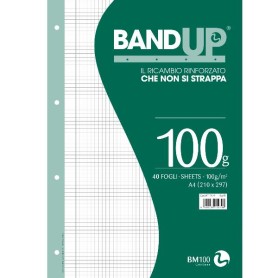 RICAMBI RINF. BAND UP 100G A4 R.4F (0111979)