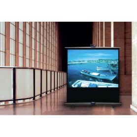 Reflecta Portable floor screen 170 x 195cm schermo per proiettore 4:3 (40764)