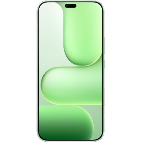 Honor 600 Lite 16,8 cm (6.6") Doppia SIM Android 16.0 5G USB tipo-C 8 GB 256 GB 6520 mAh Verde (5109CEHC)