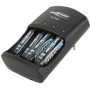 Ansmann 1001-0013 carica batterie (1001-0013)