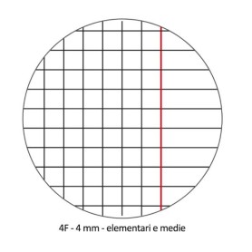 CF10 QUADERNO 24FG 100G  4F ASSOR. (0121908)