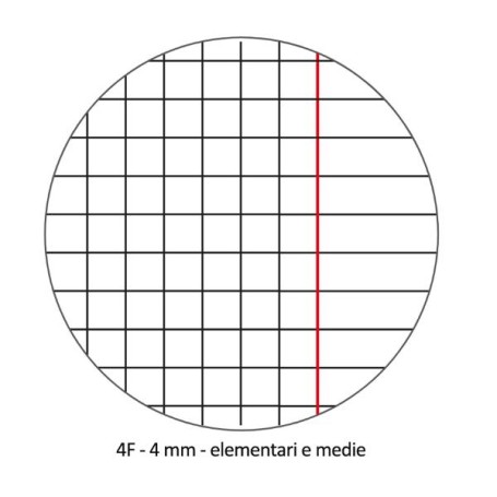 CF10 QUADERNO 24FG 100G  4F ASSOR. (0121908)