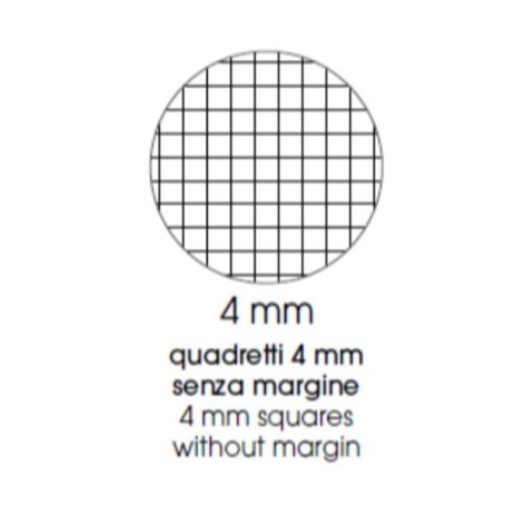 CF10 QUADERNO 24FG 100G  4MM ASSOR. (0121904)