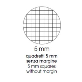 CF10 QUADERNO 24FG 100G  5MM ASSOR. (0121903)