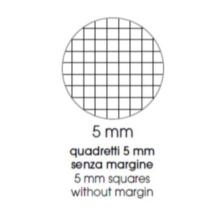 CF10 QUADERNO 24FG 100G  5MM ASSOR. (0121903)
