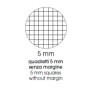 CF10 QUADERNO 24FG 100G  5MM ASSOR. (0121903)