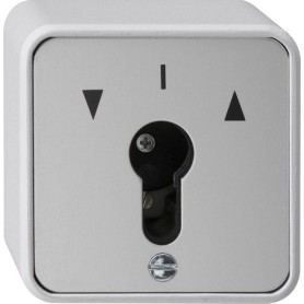 GIRA 016330 interruttore della luce Grigio