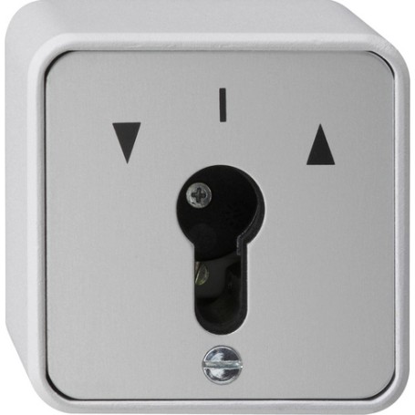 GIRA 016330 interruttore della luce Grigio