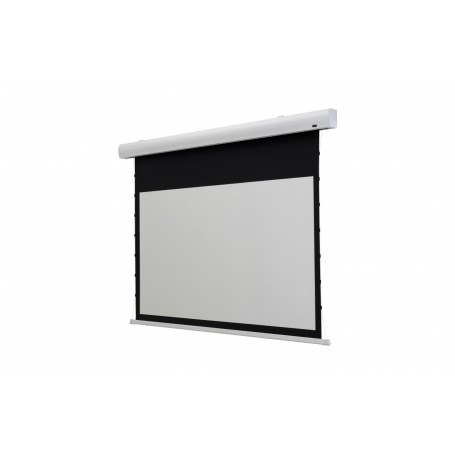 Celexon 1000008934 schermo per proiettore 3,2 m (126") 16:9 (1000008934)
