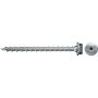Fischer 566377 giravite e bullone 100 mm 50 pz Vite