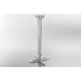 Celexon 1090283 supporto per proiettore Soffitto Bianco (1090283)