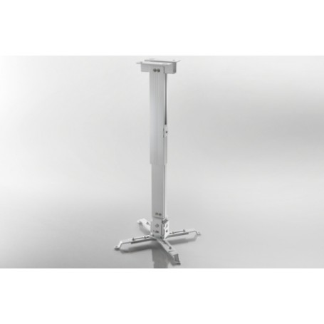 Celexon 1090283 supporto per proiettore Soffitto Bianco (1090283)