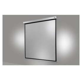 Celexon 1090775 schermo per proiettore 1:1 (1090775)