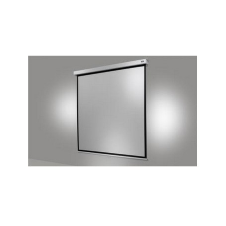 Celexon 1090775 schermo per proiettore 1:1 (1090775)