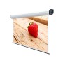 EL PROFESSIONAL 450X281 RUBIN (5455)