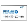 DISPLAY 43 500 +STAF+LIC+SETUP (DSIN43W-50LI)
