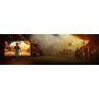 AOC G4 23.6" VA FHD 180Hz Monitor PC 59,9 cm (23.6") 1920 x 1080 Pixel Full HD LCD Nero, Rosso (C24G42FE)