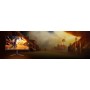 AOC G4 Gaming Monitor PC 68,6 cm (27") 2560 x 1440 Pixel Nero, Rosso (CQ27G4Z2)