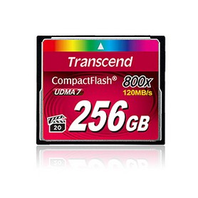 Transcend 256GB 800x CF CompactFlash (TS256GCF800)