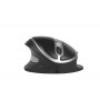 BakkerElkhuizen Oyster mouse Ambidestro USB tipo A 1200 DPI (BNEOYML)
