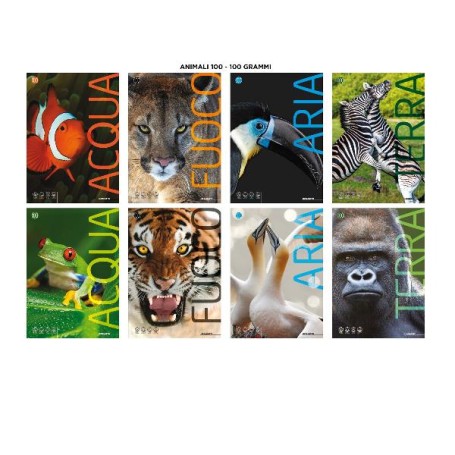 CF10 QUAD. ANIMALI 100G A4 0A (7857A)