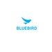 Bluebird