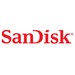 SanDisk Professional